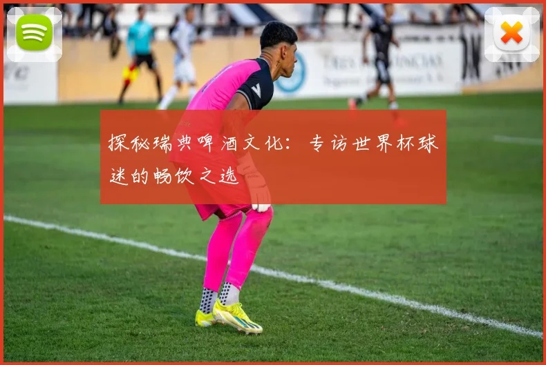 探秘瑞典啤酒文化:专访世界杯球迷的畅饮之选