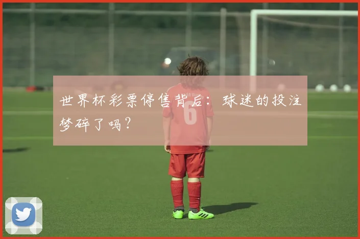 世界杯彩票停售背后:球迷的投注梦碎了吗?