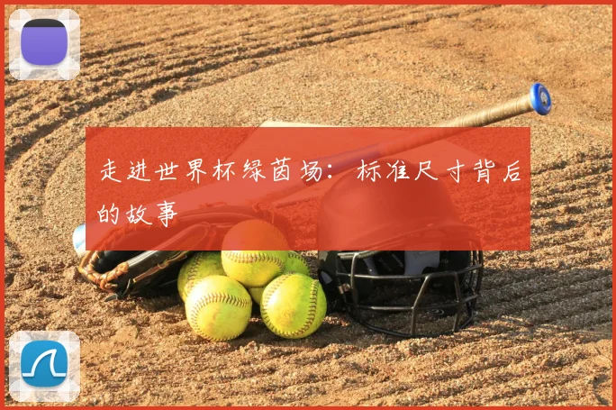 走进世界杯绿茵场：标准尺寸背后的故事