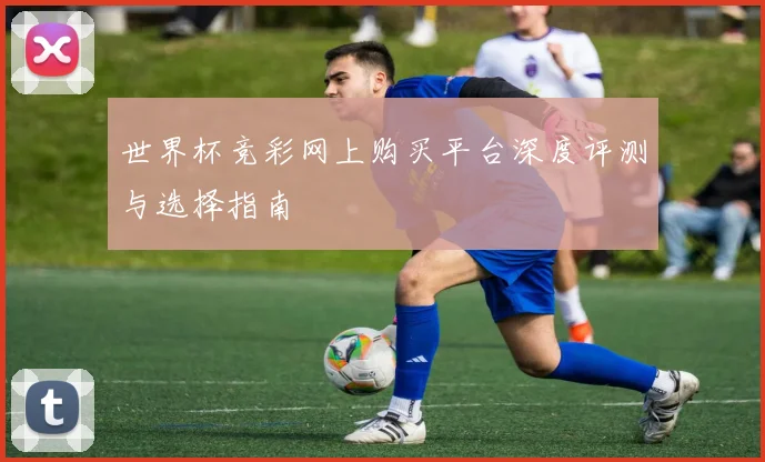 世界杯竞彩网上购买平台深度评测与选择指南
