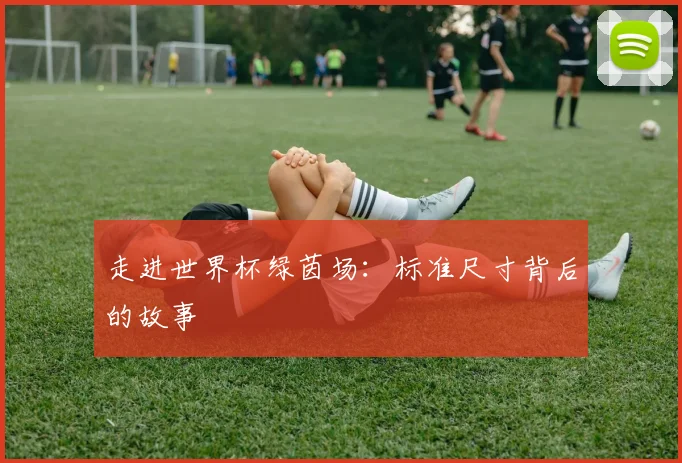 走进世界杯绿茵场:标准尺寸背后的故事