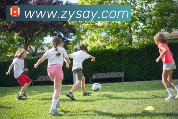 云开体app登录入口品牌故事