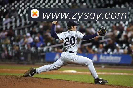 云开体app登录入口服务体系